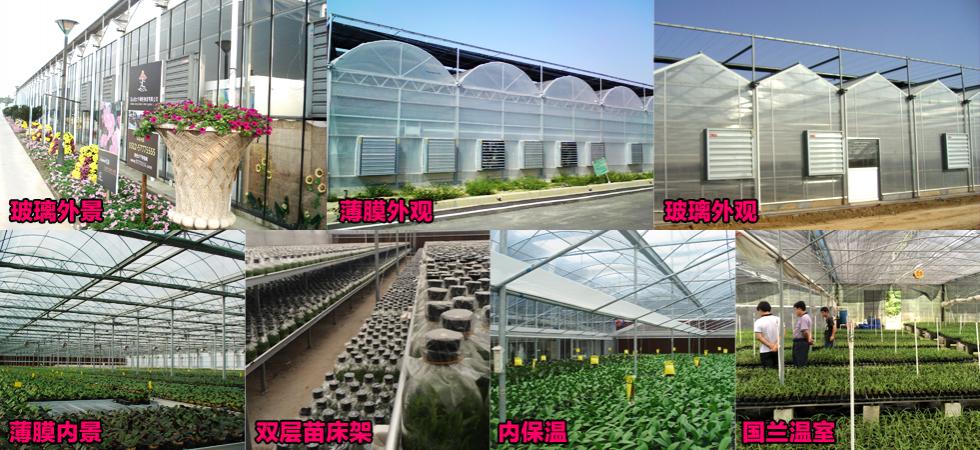 标题广告